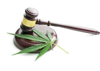 Medical Marijuana For North Carolina